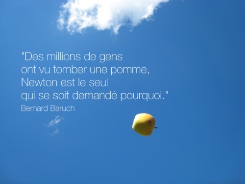 Des millions de gens ont vu tomber une pomme, Newton est le seul qui se soit demandé pourquoi. Bernard Baruch